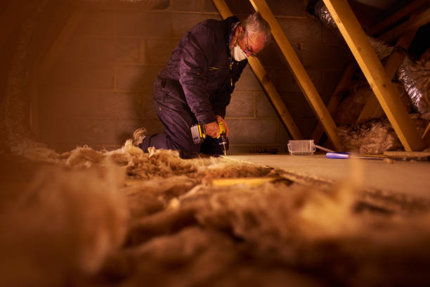Best Commercial Insulation in Lamoni, IA
